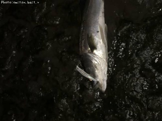 �����Х�