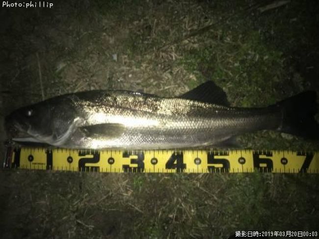 �����Х�