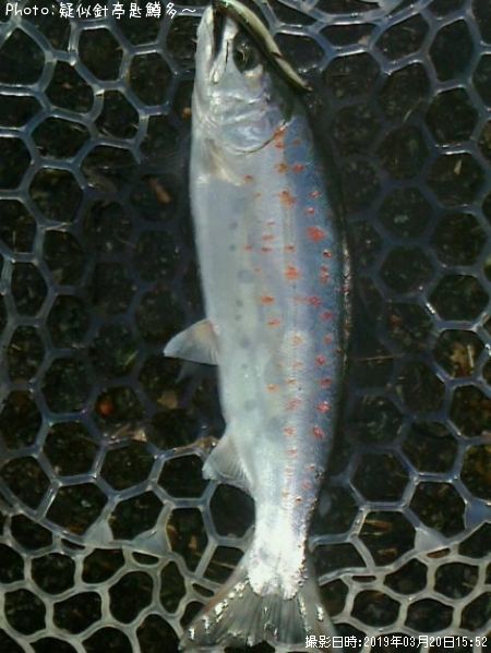 ���ĥ��ޥ�