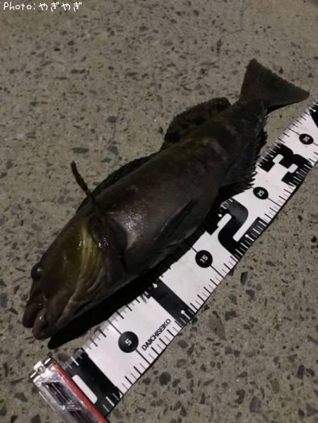 �����ʥ�