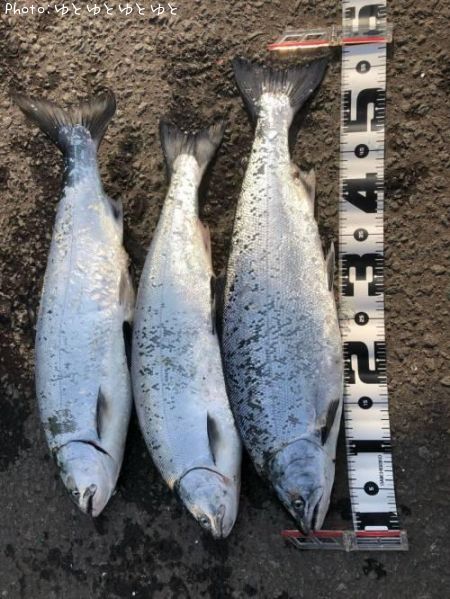 ������ޥ�