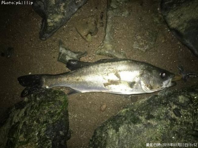 �����Х�