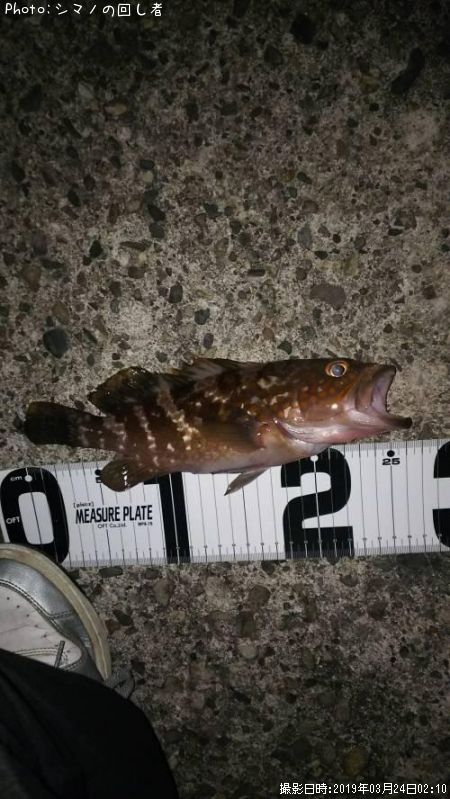 �����ϥ�