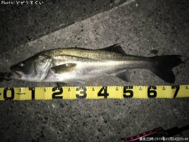 �����Х�