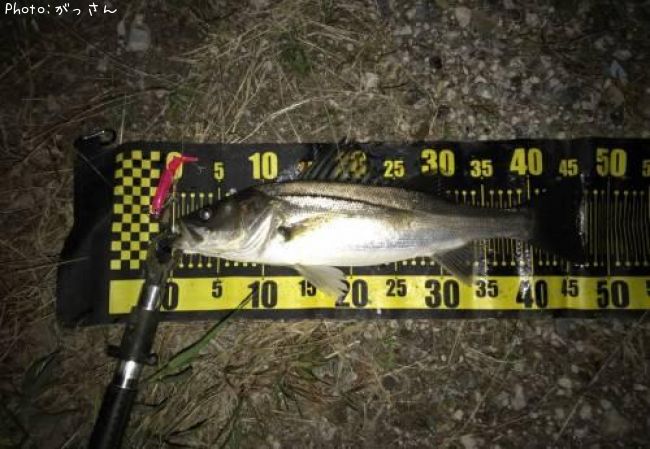 �����Х�