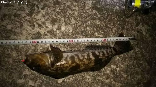 �����ʥ�