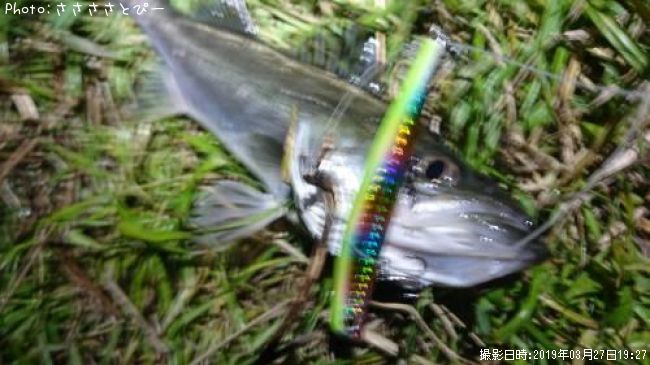 �����Х�