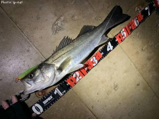 �����Х�