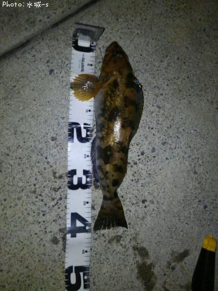 �����ʥ�