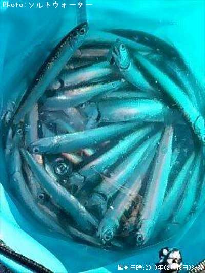 �����������亮