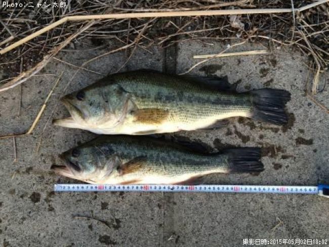 �֥�å��Х�