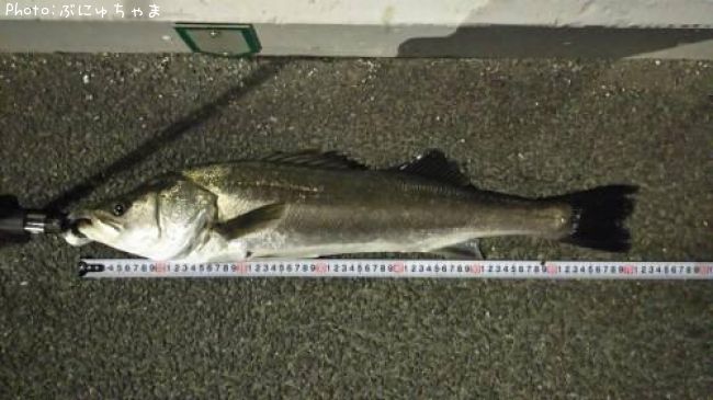 �����Х�