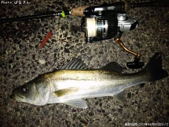 �����Х�