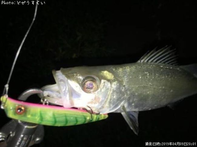 �����Х��ʥҥ饻������