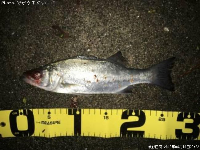 �����Х��ʥҥ饻������