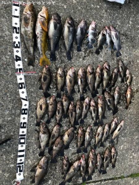 �����ʥ�