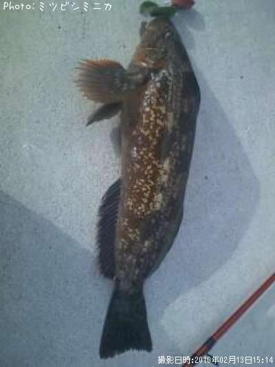 �����ʥ�