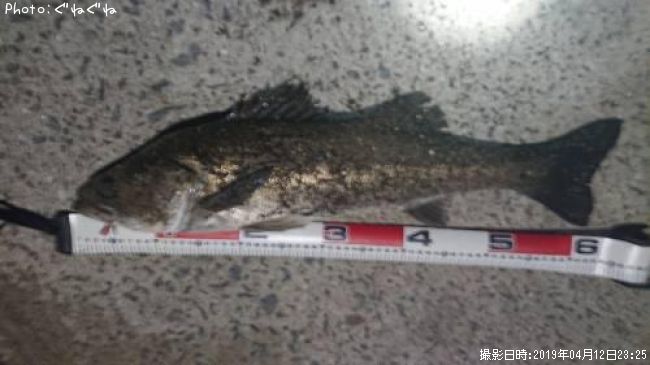 �����Х�