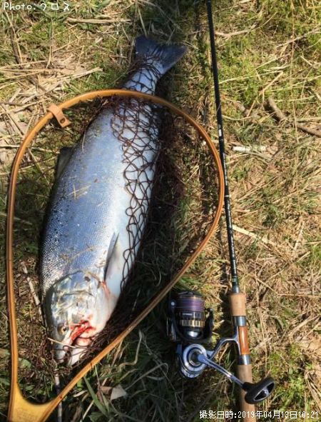 ������ޥ�