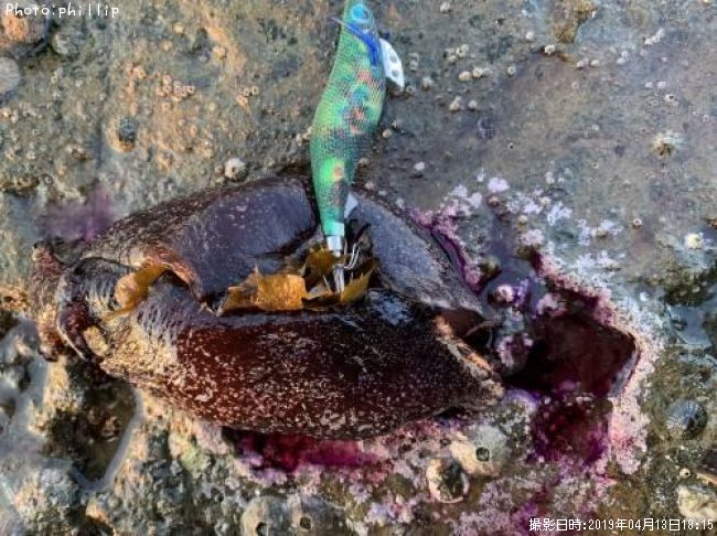 �����ޥͥ�