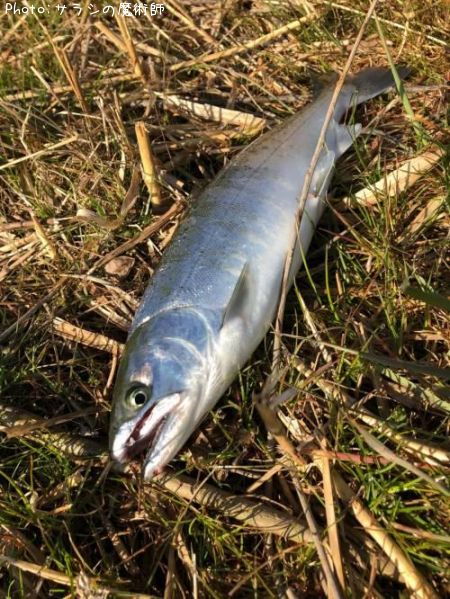 ������ޥ�