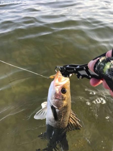 �����Х�