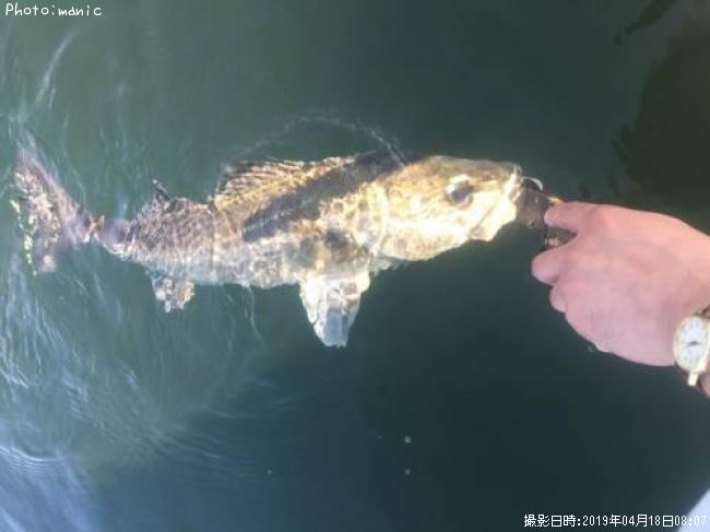 �����Х�