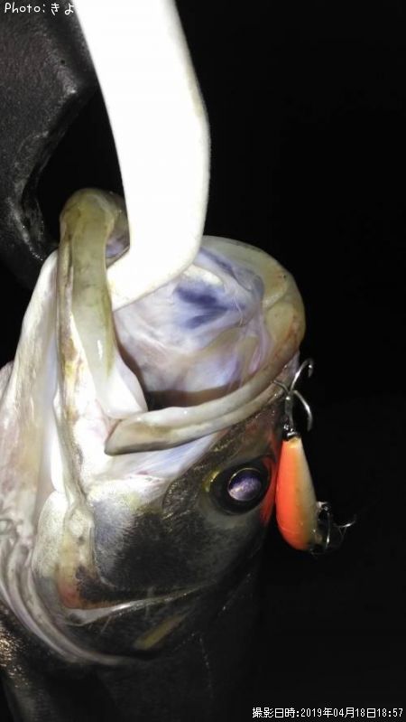 �����Х�