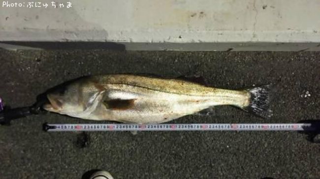 �����Х�