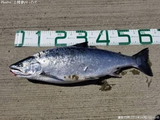 ������ޥ�