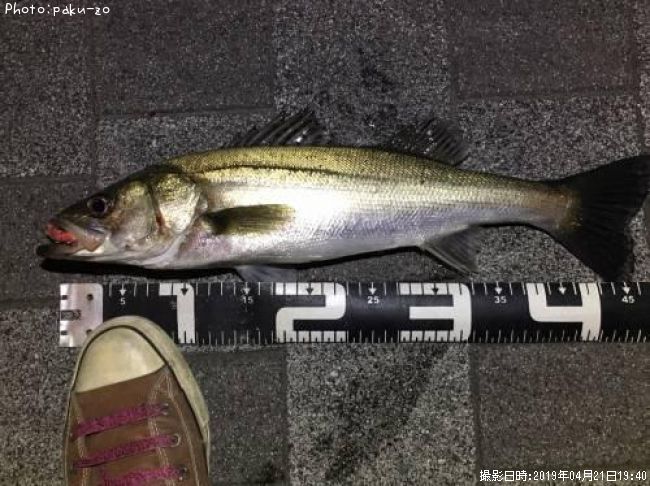 �����Х�