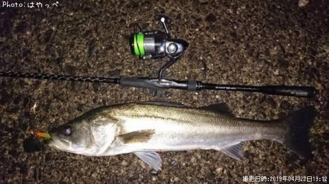 �����Х�