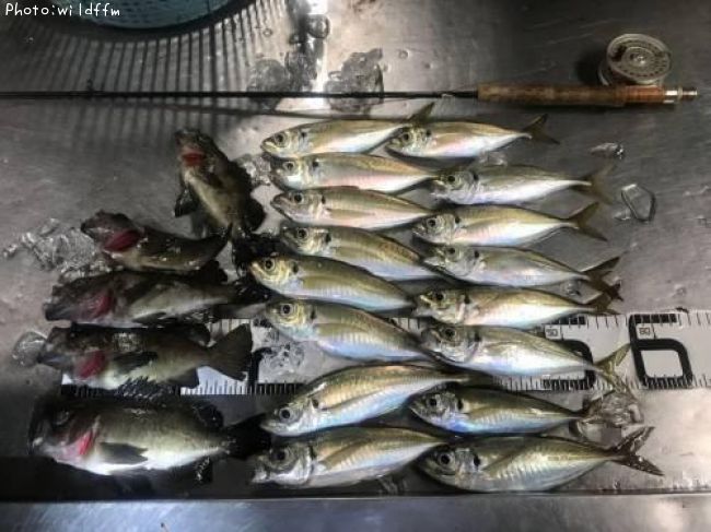 ��������Х�