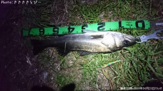 �����Х�