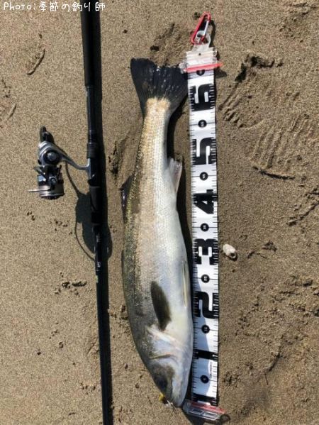 �����Х�