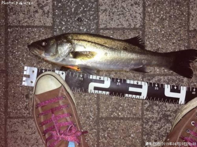 �����Х�