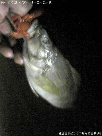 �����ʥ�