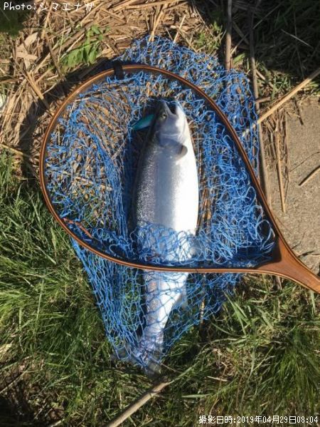 ������ޥ�