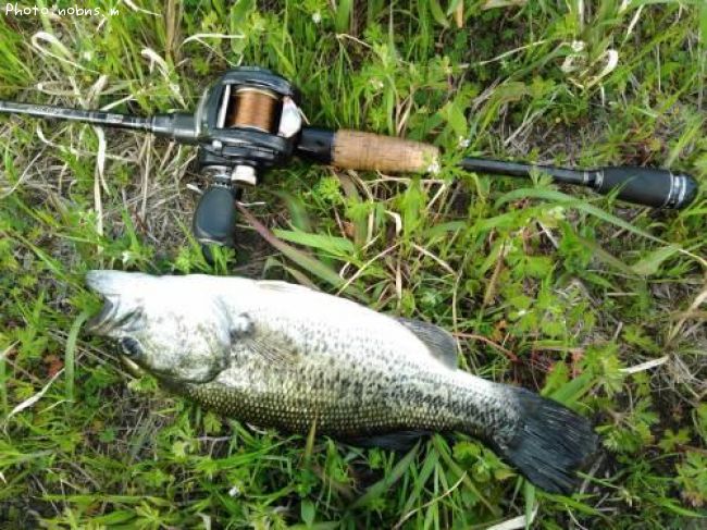 �֥�å��Х�