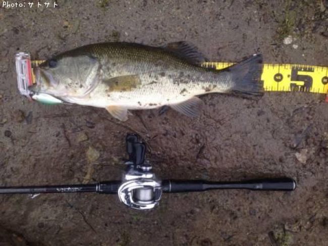 �֥�å��Х�