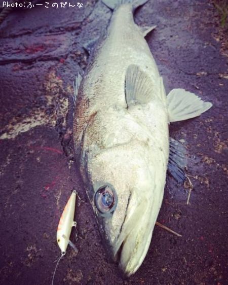 �����Х�