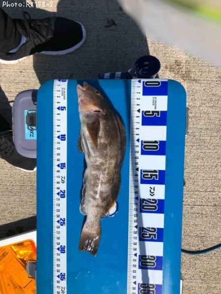 �����ʥ�