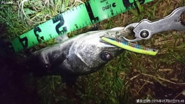 �����Х�