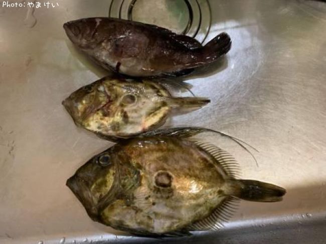 �ޥȥ������ȥޥϥ�