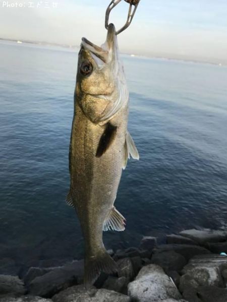 �����Х�