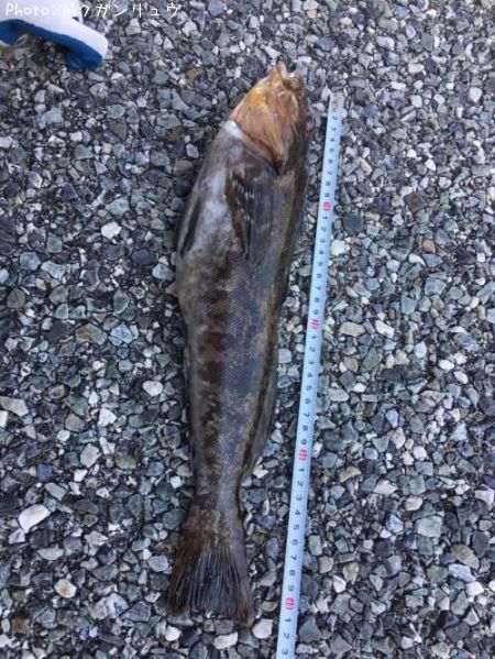 �����ʥ�