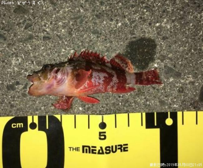 ��ᥫ����