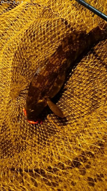 �����ʥ�