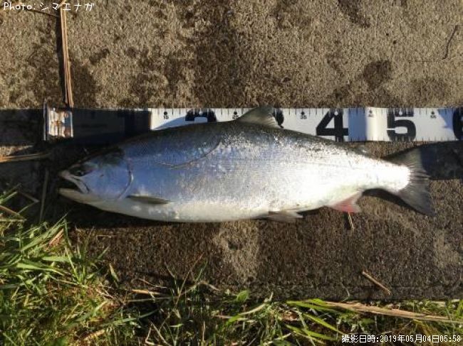 ������ޥ�