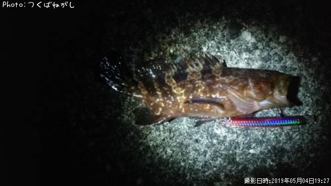 �����ϥ�